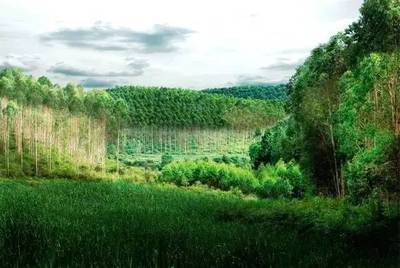 芬蘭知名環(huán)保材料企業(yè)在中國市場的戰(zhàn)略布局與前景分析