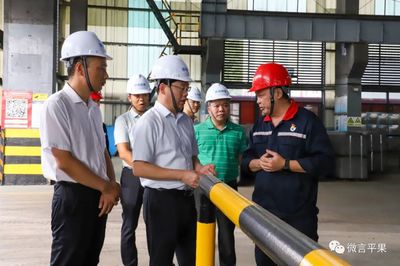 凌玉強(qiáng)深入企業(yè)調(diào)研生態(tài)環(huán)保工作 強(qiáng)調(diào)生態(tài)環(huán)境材料銷售的重要性與創(chuàng)新方向