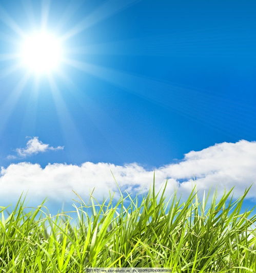 用心交流，換位思考 以完美溝通推動生態環境材料銷售，共筑美好生活